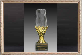 深圳國際家居軟裝飾博覽會(huì)較佳展位空間設(shè)計(jì)獎(jiǎng)