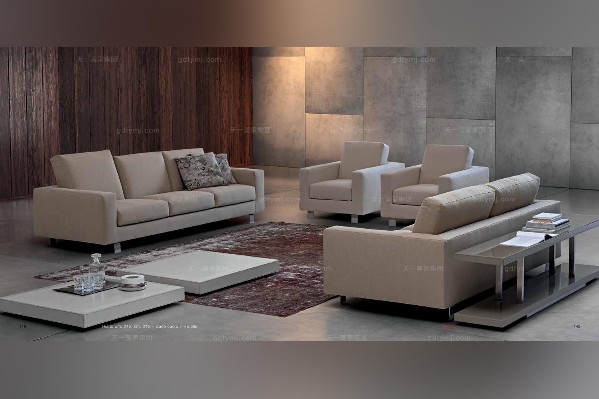 Dema高端時尚簡約現代淺色沙發組合