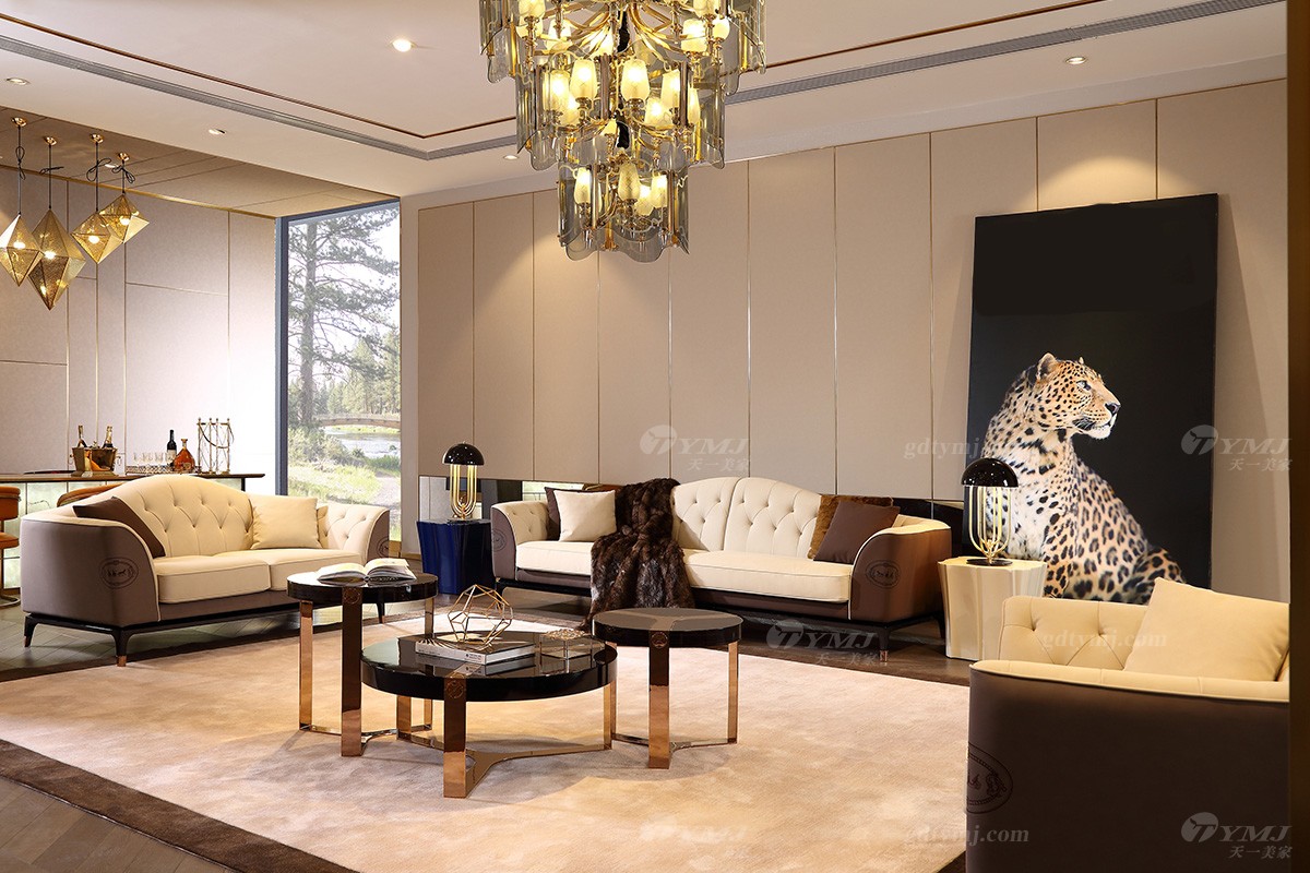 天一美家高檔輕奢客廳沙發組合