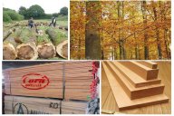 您知道后現代輕奢家具風格一般用哪些實木原材嗎？高端的都用這幾類！